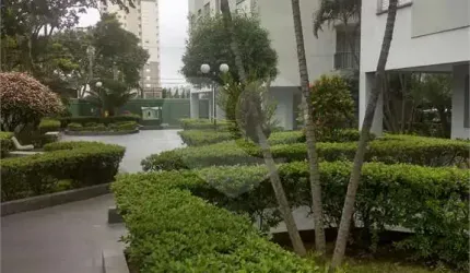 Apartamento para venda Vila Amália