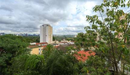 ALTO DA LAPA - VISTA LIVRE
