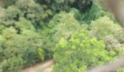 Terreno à venda na Rua Matilde Macedo Soares, 10, Jardim Leonor Mendes de Barros, São Paulo, 369 m2 por R$ 760.000