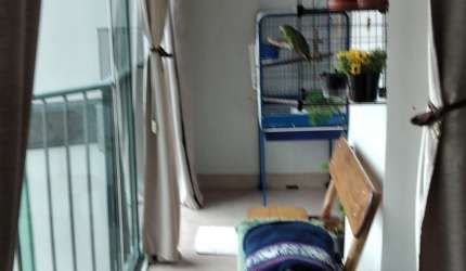 Apartamento a venda no bairro de Santa Terezinha