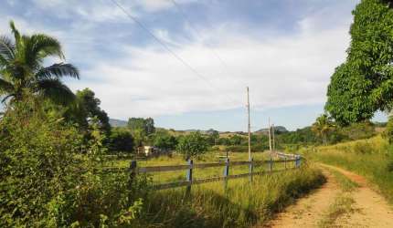 Sítio para Venda em Itaboraí, Peróbas (Pachecos), 1 dormitório, 1 banheiro