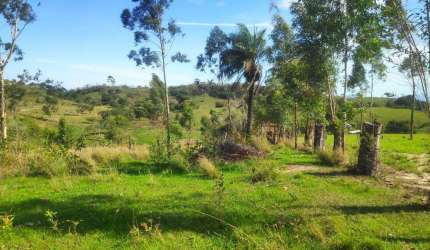 Sítio para Venda em Itaboraí, Peróbas (Pachecos)