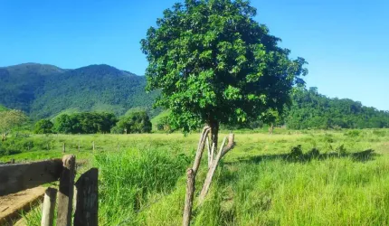 Sítio para Venda em Cachoeiras de Macacu, AGRO BRASIL