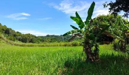 Sítio para Venda em Itaboraí, Centro (Sambaetiba), 2 dormitórios, 1 banheiro