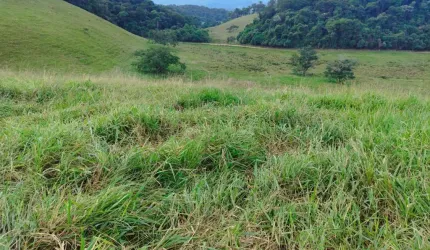 Fazenda para Venda em Cachoeiras de Macacu, QUIZANGA