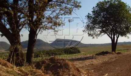 Fazenda Rural à venda, Centro, Santo Antônio da Alegria - FA0001.