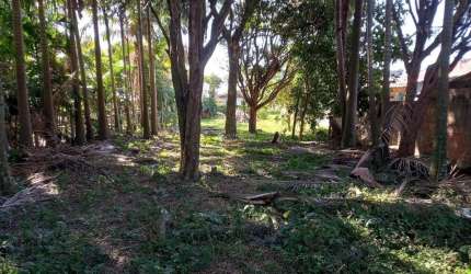 Terreno à venda na Rodovia Baldicero Filomeno, 2379, Ribeirão da Ilha, Florianópolis, 1426 m2 por R$ 1.190.000