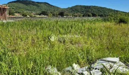 Terreno à venda na Rodovia Doutor Antônio Luiz Moura Gonzaga, 3312, Rio Tavares, Florianópolis, 452 m2 por R$ 980.000