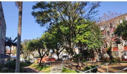 JISGDF 265 Apto 612521043-9