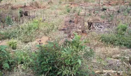 Terreno à venda, 1058 m² por R$ 50.000,00 - Centro - Torreões (Juiz de Fora)/MG