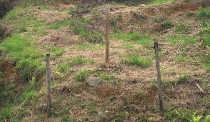 Terreno à venda, 506 m² por R$ 180.000 - Santos Dumont - Juiz de Fora/MG