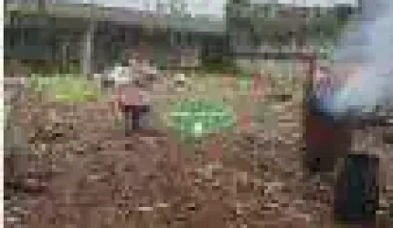 Terreno para aluguel Chico de Paula Santos SP