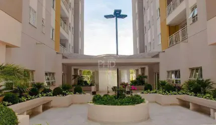 Apartamento 55 m2 com laser completo- locação - Bairro Baeta Neves - São Bernardo do Campo/SP