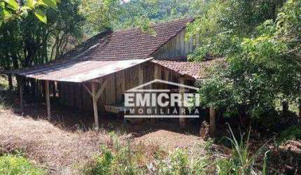 Chácara com 1 dormitório à venda, 10000 m² por R$ 148.000,00 - Campinas - Rolante/RS
