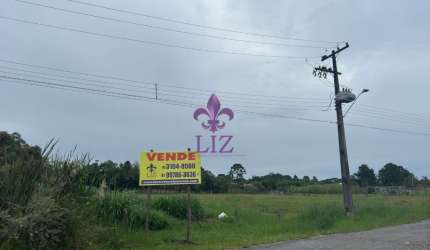 Excelentes áreas residenciais à venda em Quatro Barras