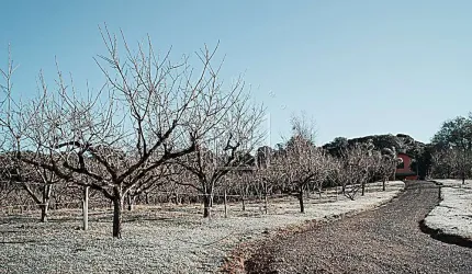 Terreno à venda na Rua Antônio Beneti Sobrinho, Mato Queimado, Gramado por R$ 800.000