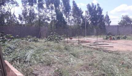 Terreno à venda na Rua Pioneiro Feliciana Tereza Leonar, 963, Jardim Nova Floresta, Floresta por R$ 180.000