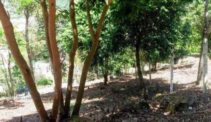 Terreno à venda, 1007 m² por R$ 999.000,00 - Cachoeira do Bom Jesus - Florianópolis/SC