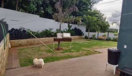 chacara com piscina Venda quintadaspalmeiras cedral/SP