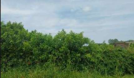 Oportunidade Única em RIO GRANDE - RS | Tipo: Terreno | Negociação: Venda Direta Online  | Situação: Imóvel