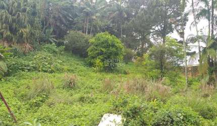 Terreno à venda, 1962 m² por R$ 2.200.000,00 - Saguaçu - Joinville/SC