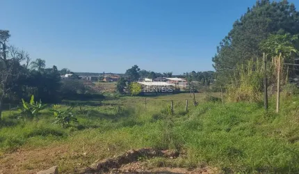 Terreno à venda, 6800 m² por R$ 4.800.000,00 - Centro - Barra Velha/SC