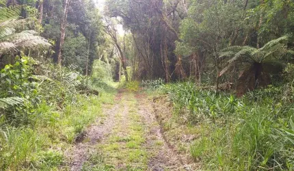 Chácara em Lageado com 193.600mil m², distante 600m da rodovia