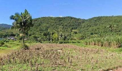 Chácara com 1 dormitório à venda, 30000 m² por R$ 650.000,00 - Itoupava Açu - Schroeder/SC