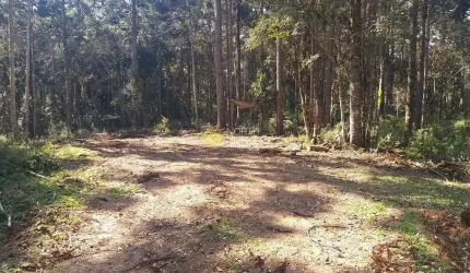 Chácara à venda, 187082 m² -  Avenquinha - Zona Rural - Campo Alegre/SC