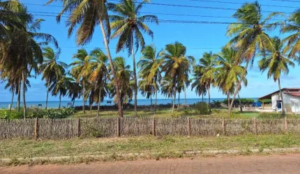LOTE PARA VENDA DE 1.000 M² - CARNAUBINHA, TOUROS/RN