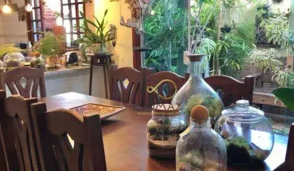 Vende - Linda e Aconchegante Casa - 218m² - Vila Matilde - SP.