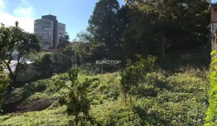 Amplo terreno situado no Borgo junto a rua São Paulo!