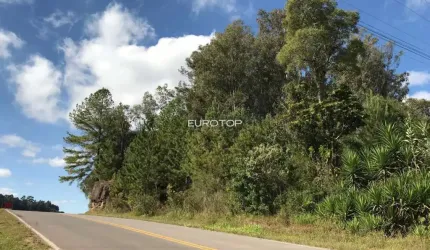 Linda área nos Caminhos de Pedra!