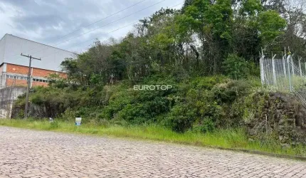 Amplo terreno industrial!