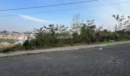 Excelente terreno com ótima metragem e topografia!