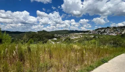 Ótimo terreno com vista privilegiada!