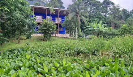 Casa com 3 dormitórios à venda, 110 m² por R$ 900.000,00 - Praia de Maresias - São Sebastião/SP