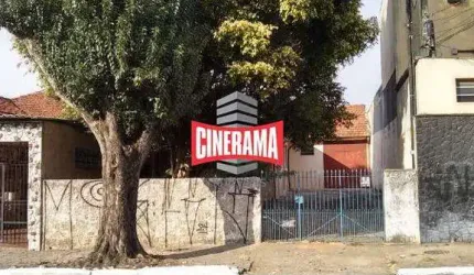 Terreno à venda, 10 vagas, Vila Bela - São Paulo/SP