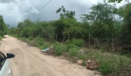 Terreno - Empreendimento no SIM - Feira de Sanmtana, Ba
