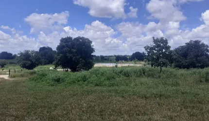Big Fazenda - Plantação grande porte e energia  aeólicz