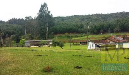 Sítio com 2 dormitórios à venda, 333960 m² por R$ 7.000.000,00 - Areia Branca - Mandirituba/PR