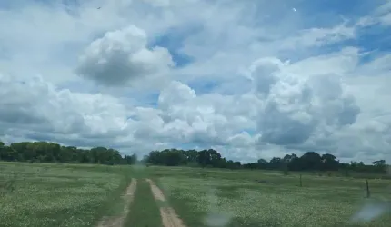 FAZENDA DE 2.226 HECTARES EM AQUIDAUANA MS