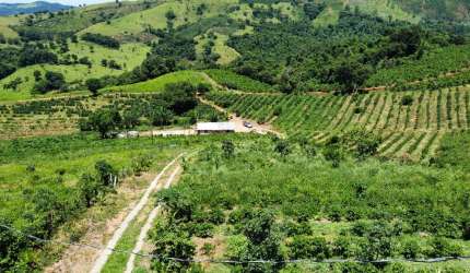 Lindo sítio 3.5 alqueires com cachoeira a venda em Jacutinga -MG