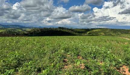 Lindo sítio com 10.5 alqueires a venda em Jacutinga-MG