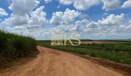 Fazenda à venda na Rua Dona Margarida, Centro, Santa Bárbara D'Oeste