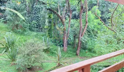 Casa em Terreno 6.500m2 | para Morar ou Investir