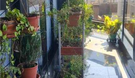 Apartamento com 3 quartos à venda em Jardim Vila Mariana - SP
