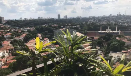 Apartamento com 3 quartos à venda em Higienópolis - SP