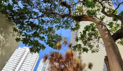 Apartamento com 2 quartos à venda em Aclimação - SP
