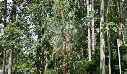 Terreno à venda em Tucuruvi - SP